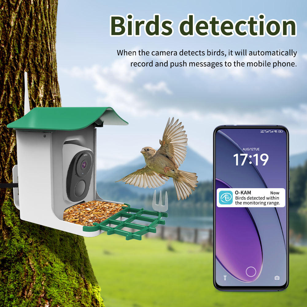 OEM 3MP O-KAM WIFI Farbnachtsi – Smart Bird Feeder Camera Bewertung und Preis