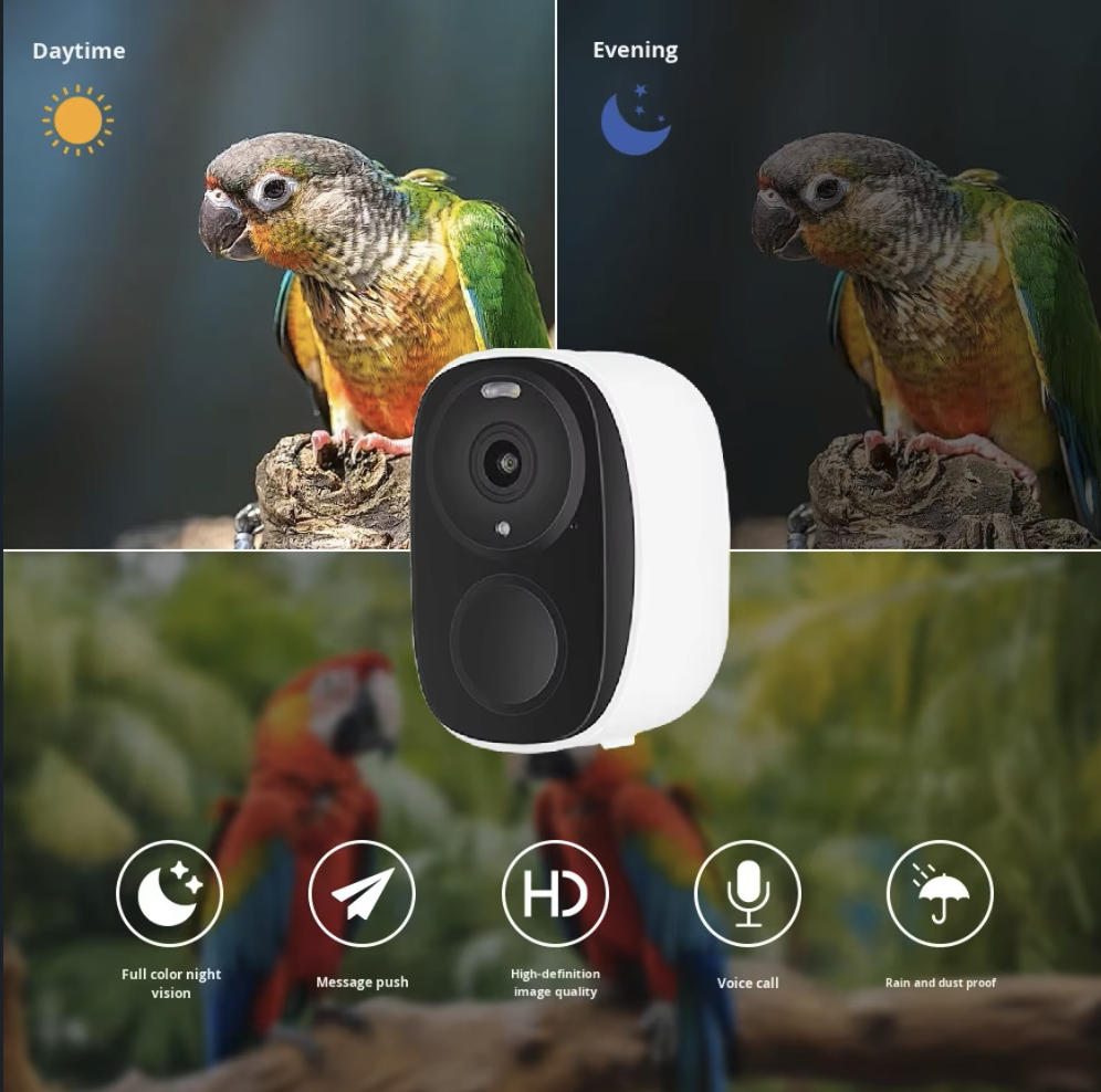 OEM 3MP O-KAM WIFI Farbnachtsi – Smart Bird Feeder Camera Bewertung und Preis