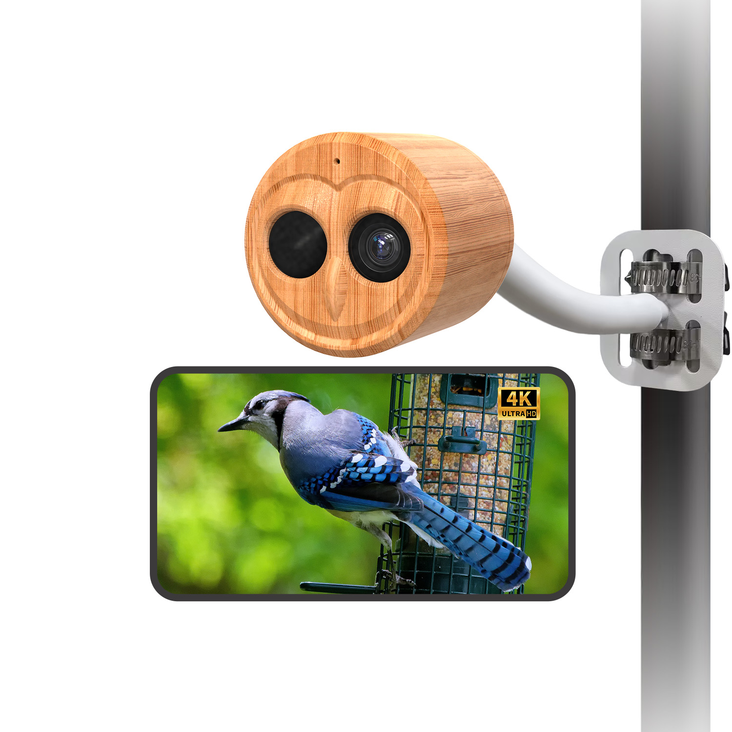 4K Smart Vogelfutterautomat mi – Smart Bird Feeder Camera Bewertung und Preis