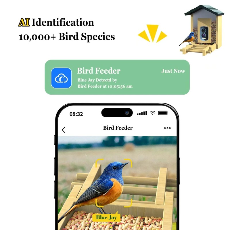 4K KI-Vogelfutterhaus-Kamera,  – Smart Bird Feeder Camera Bewertung und Preis