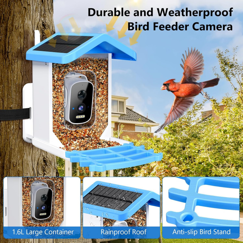 WiFi Smart Bird Feeder mit Kam – Smart Bird Feeder Camera Bewertung und Preis
