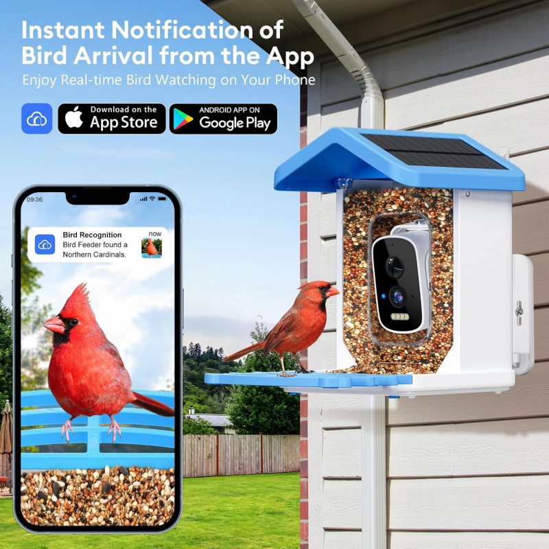 WiFi Smart Bird Feeder mit Kam – Smart Bird Feeder Camera Bewertung und Preis