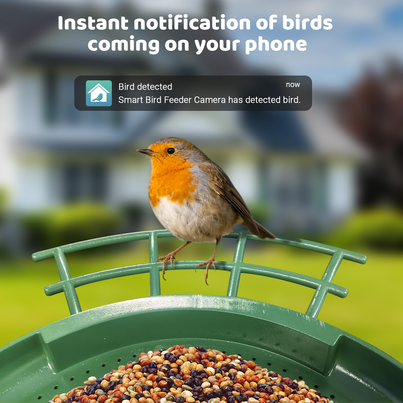 Intelligenter Doppelkamera-Vog – Smart Bird Feeder Camera Bewertung und Preis