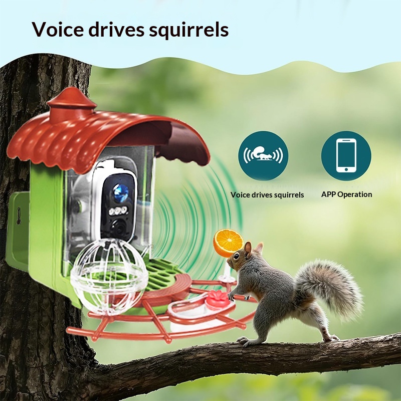Solarbetriebener automatischer – Smart Bird Feeder Camera Bewertung und Preis