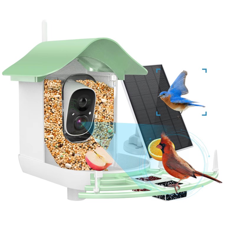 2026 App Video Auto Capture Ka – Smart Bird Feeder Camera Bewertung und Preis