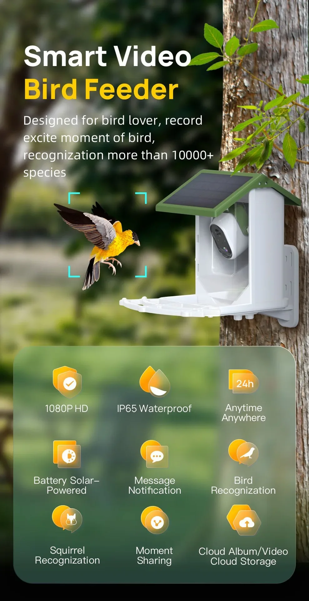 Meistverkaufter grenzübergrege – Smart Bird Feeder Camera Bewertung und Preis